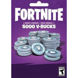 Fortnite gift card 5000 V-bucks