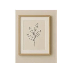 Framed Botanical Print .