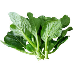Choy Sum seeds (10g)