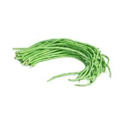 Yard Long Bean Seeds (10g)