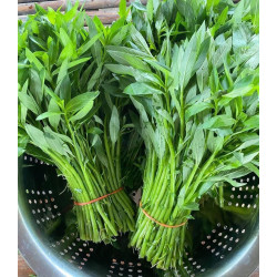 Water spinach seeds (10g)